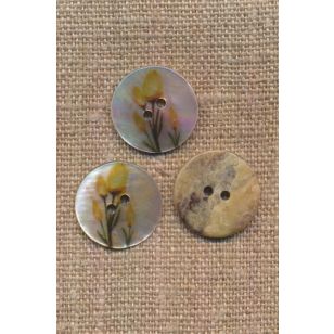 Perlemorsknap i offwhite med gul blomst-tulipan, 18 mm. - 