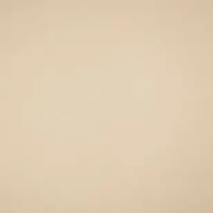 Bomuldsjersey i offwhite - Ensfarvet  Bomuldsjersey