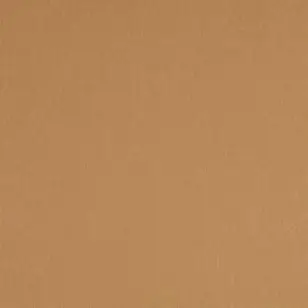 Rib i lysebrun - Rib