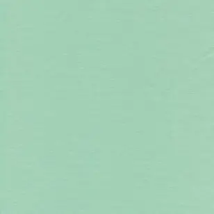 Jersey økotex bomuld/lycra, mint - 