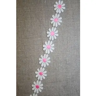 Bånd med marguerit, hvid-pink - Div. bånd